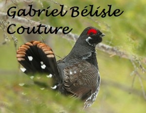 4-Avril_Tetras du canada_Gabriel Belisle-Couture_Petite