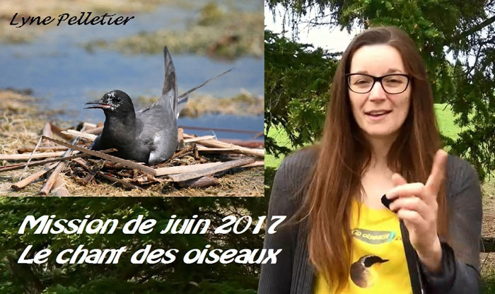 Mission De Juin 2017 Reconnaître Des Chants Doiseaux Go