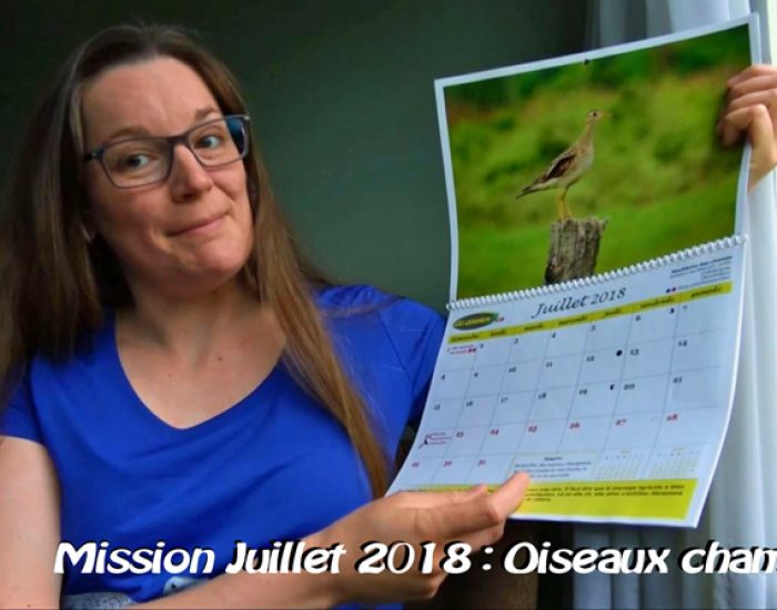 Oiseaux champêtres, la mission de juillet 2018!