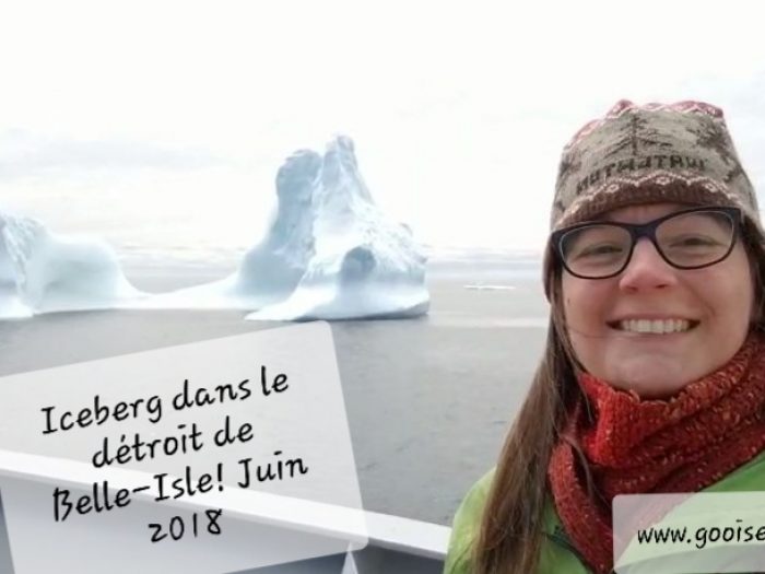Vidéo : Iceberg dans le Détroit de Belle-Isle