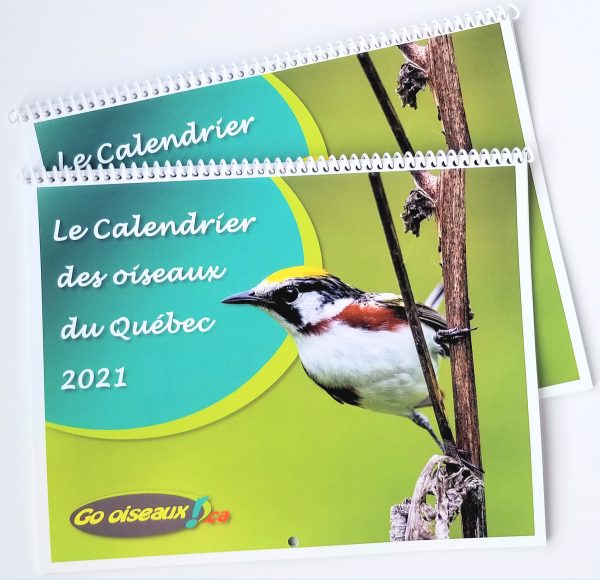 Calendrier 2024 Oiseaux colorés du monde 14 pages brillantes Couleur des  oiseaux Nature mondiale Magnifique planificateur mensuel annuel de 12 mois  NOUVEAU -  Canada