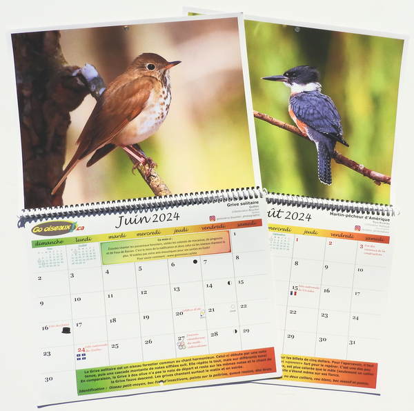 Agenda-calendrier oiseaux du monde 2024
