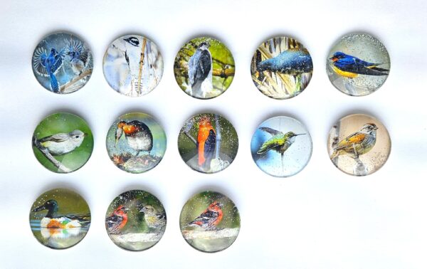 Baker Ross – Kit Aimants Oiseaux En Sable Coloré – Lot 6 – Activité Créative 3D – Enfant Et Adulte – Décoration Magnétique
